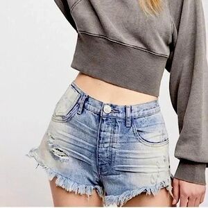 One Teaspoon Le Wolves Distressed Denim Shorts Size 27 90s Y2K Festival